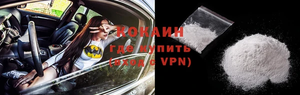 ПСИЛОЦИБИНОВЫЕ ГРИБЫ Инта