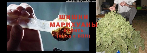 крисы Зерноград