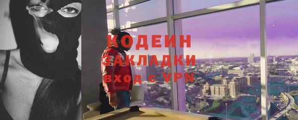 ПСИЛОЦИБИНОВЫЕ ГРИБЫ Инта