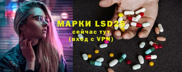 ПСИЛОЦИБИНОВЫЕ ГРИБЫ Инта