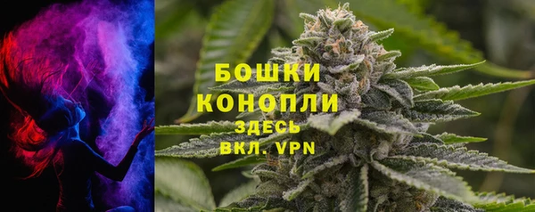 ПСИЛОЦИБИНОВЫЕ ГРИБЫ Инта