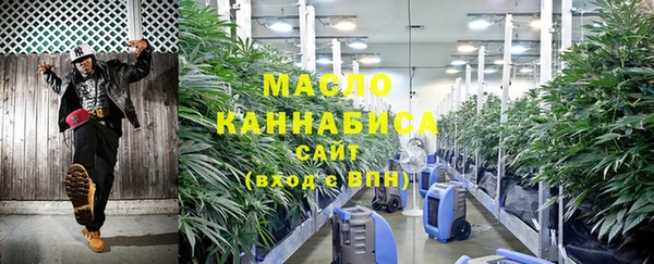 2c-b Инсар