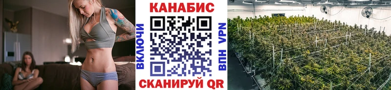 Шишки марихуана семена  Купить где  Льгов 